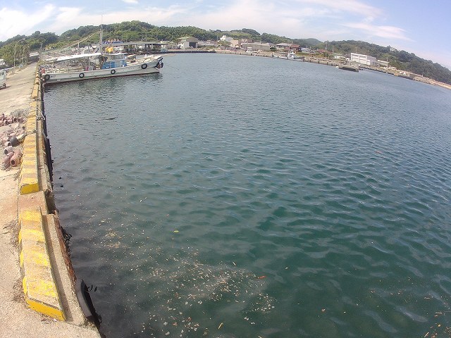 c12江井漁港